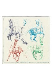 Replica Perfect Imitation Hermes White Pirouette Au Galop Shawl HJ00525
